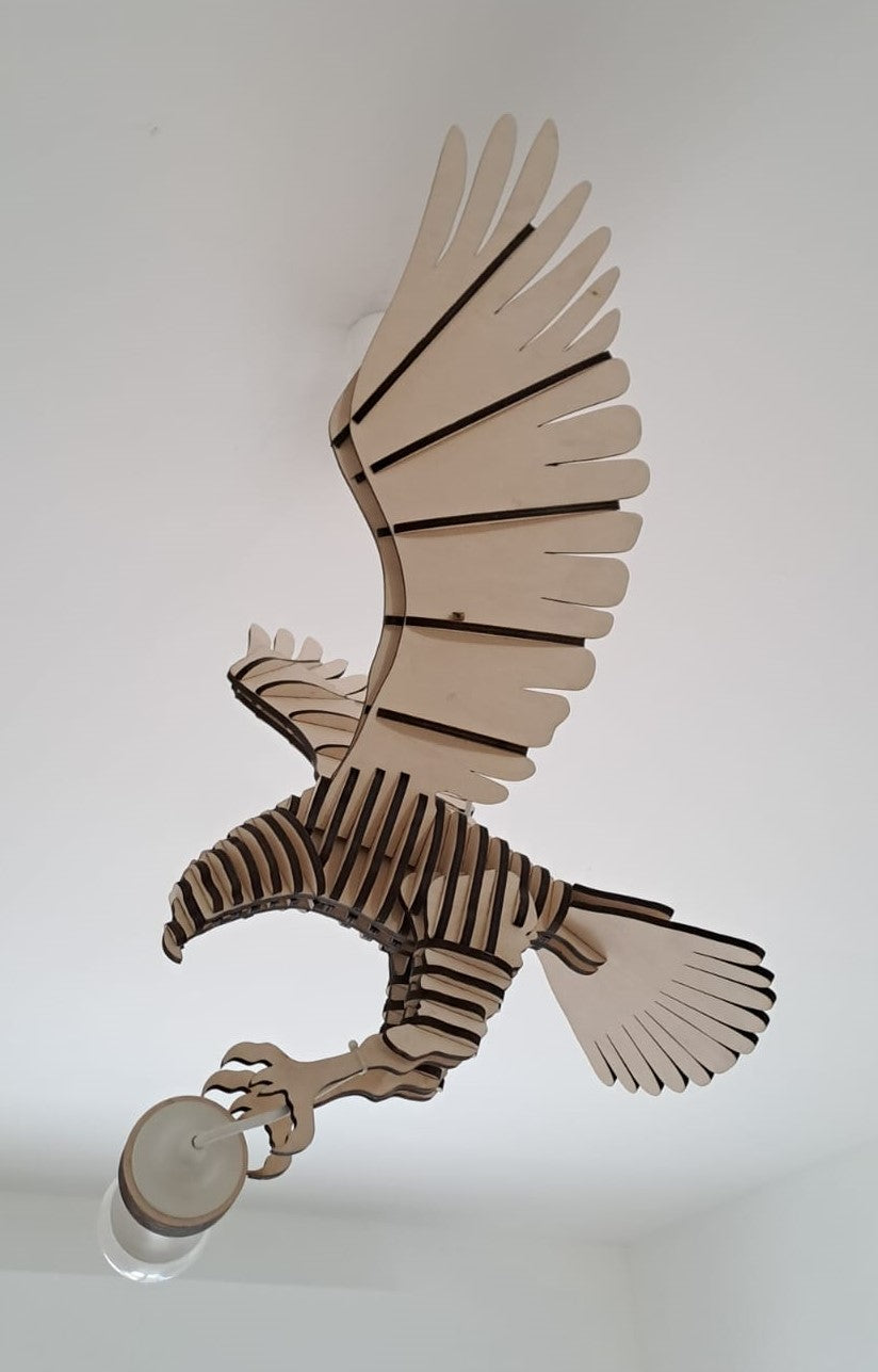 Aquila